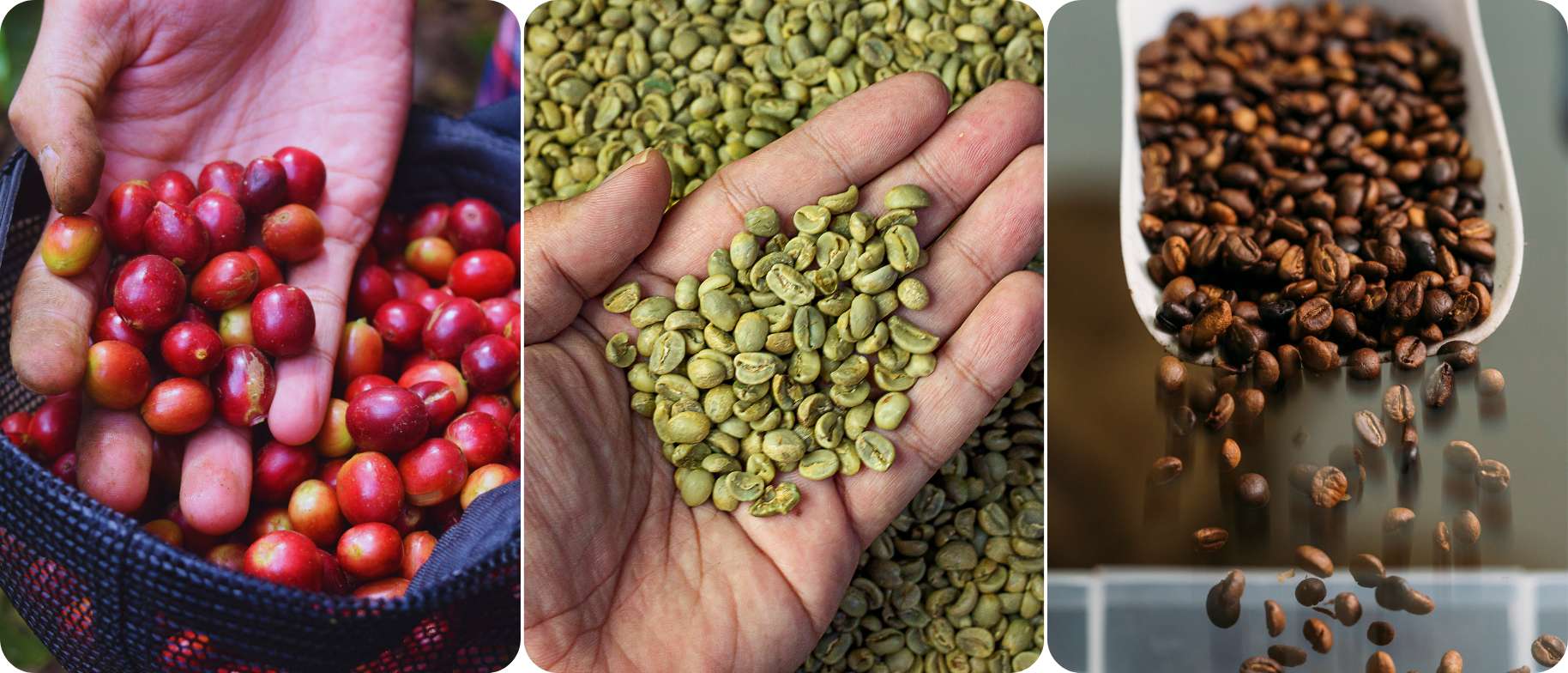 cervena zelena hneda